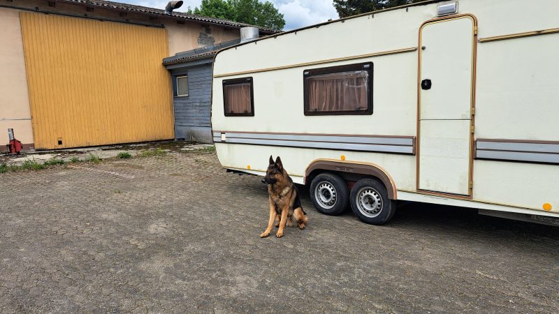Urlaub mit Wohnwagen und Hund – Reisetips –