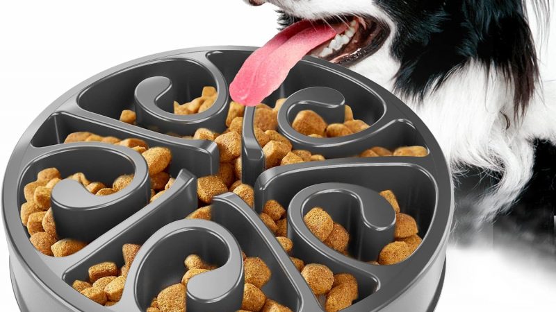 Schluss mit hastigem Fressen: Wie der Anti-Schling-Napf das Leben meines Hundes verändert hat